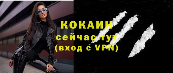 прущие грибы Михайловка