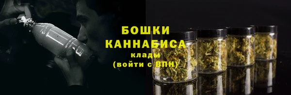 ГАЛЛЮЦИНОГЕННЫЕ ГРИБЫ Михайловск