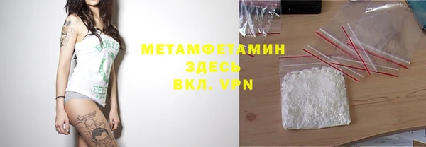 прущие грибы Михайловка
