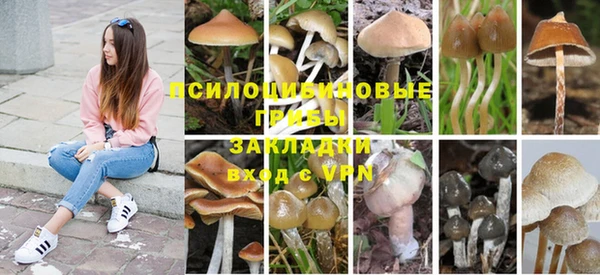 ГАЛЛЮЦИНОГЕННЫЕ ГРИБЫ Михайловск