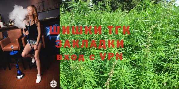 стаф Семилуки