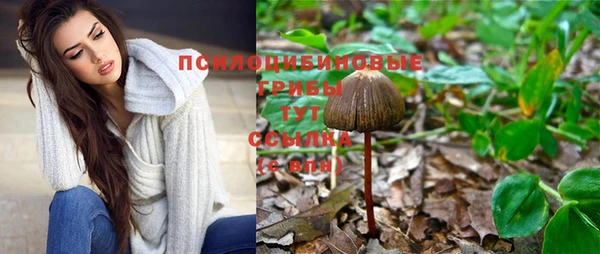 ГАЛЛЮЦИНОГЕННЫЕ ГРИБЫ Михайловск