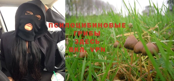 прущие грибы Михайловка