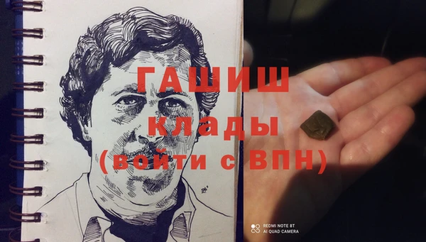 прущие грибы Михайловка