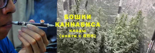 стаф Тында