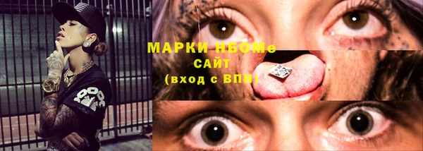 прущие грибы Михайловка